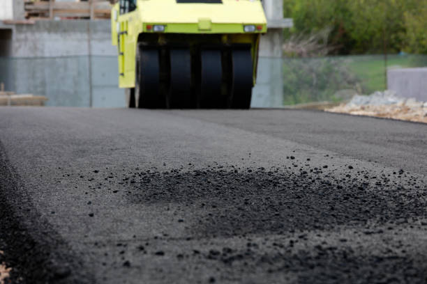 Best Driveway Pavers Near Me  in Anniston, AL